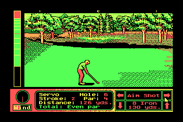 Jack Nicklaus' Unlimited Golf & Course Design actual CGA palette example 2
