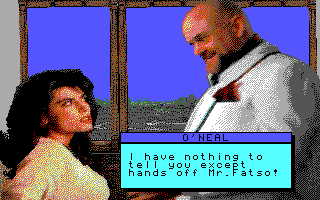 IBM EGA version of David Wolf: Secret Agent