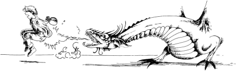 Dragonfire Illustration